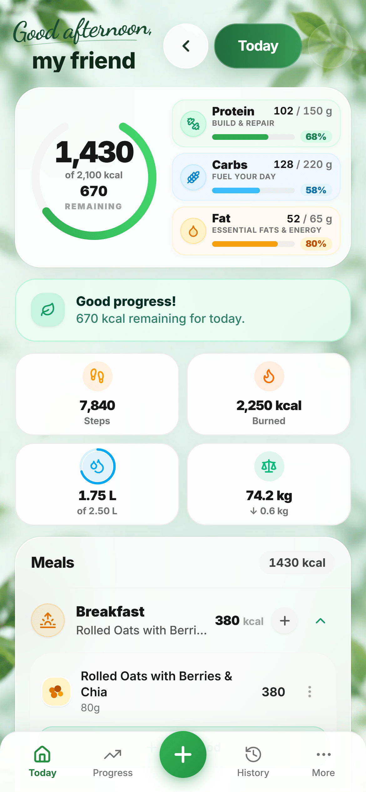 NutriTrack Today dashboard showing calories, macros, steps, water, weight and meals.